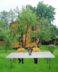Стол-чемодан складной туристический Green Glade F240