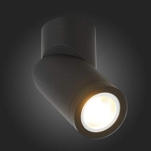 Светильник потолочный ST Luce ST650.402.01