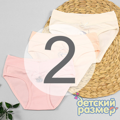 2 (3-4 года)