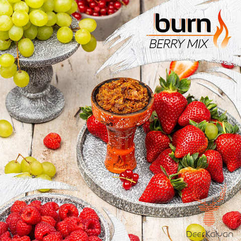 Табак Burn Berry Mix (Ягодный Микс) 100г