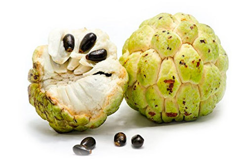 Черимойя, шт