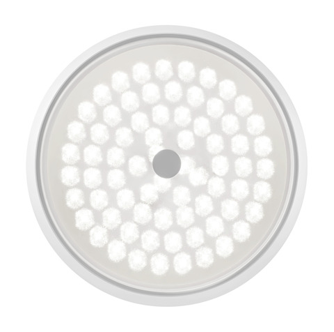 Потолочный светодиодный светильник Freya FR10012CL-L24W