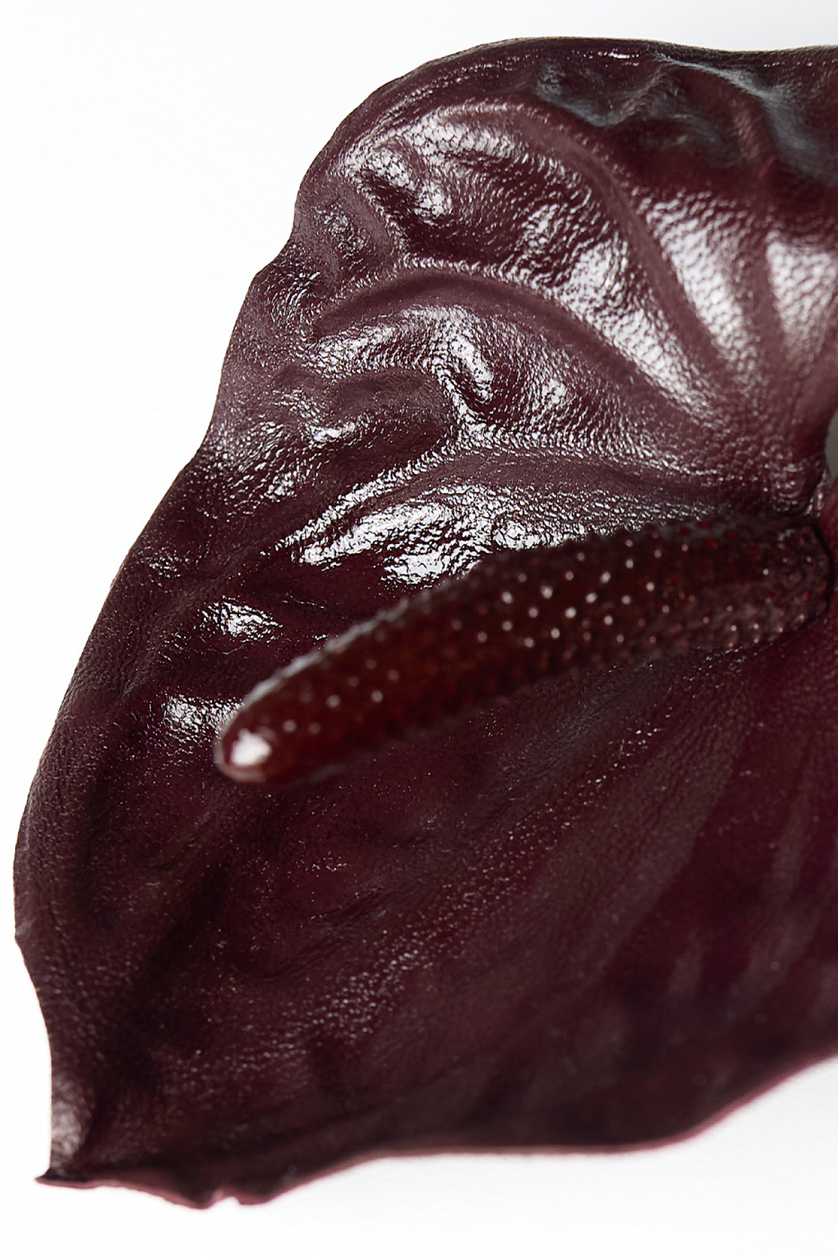 Брошь Антуриум, бордо