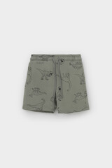 шорты  для мальчика  КР 400666/зеленый чай,динозавры к552