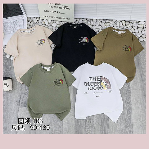 Футболка хлопок м (1-6) 260119-SL6107