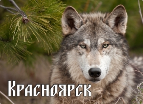 Урал Сувенир - Красноярск магнит закатной 90х65 мм №0028