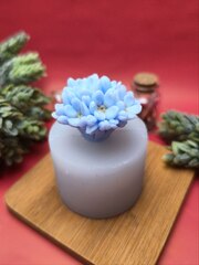 Силиконовая форма 