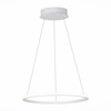 Светильник подвесной ST Luce ST604.543.22