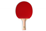 Ракетка Gambler ZEBRAWOOD CLASSIC VOLT M (коническая) фото №0