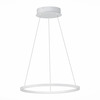Светильник подвесной ST Luce ST604.543.22