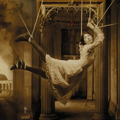 Porcupine Tree / Signify (2LP)