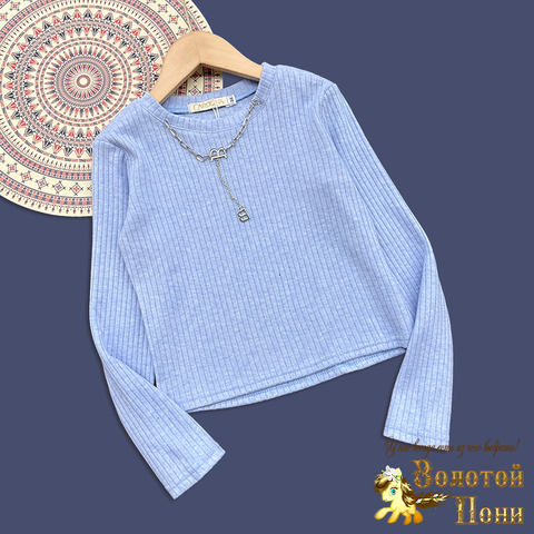 Джемпер трикотаж д (7-11) 251030-F1099