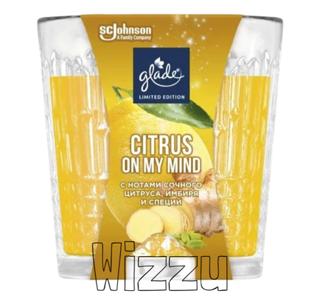 Ароматизированная свеча с ароматом имбиря и специи 130г