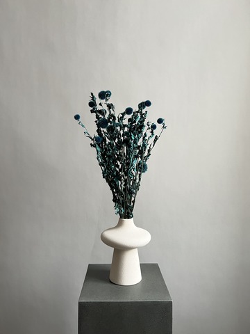 Эхинопс стабилизированный бирюзовый