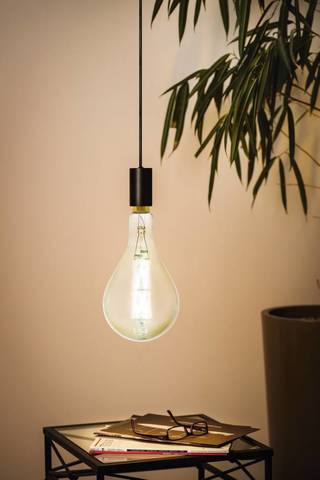 Лампа LED филаментная диммир. дымчатого цвета Eglo BIG SIZE LM-LED-E27 8W 600Lm 3000K PS160 11844 2