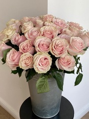 Роза розовая Пинк Мондиаль