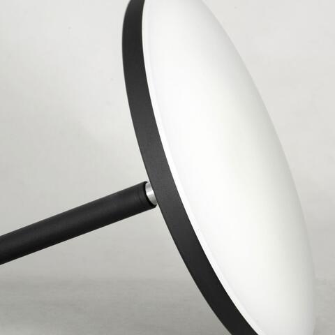 Торшер светодиодный Lussole LSP-0901