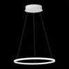 Светильник подвесной ST Luce ST604.543.22