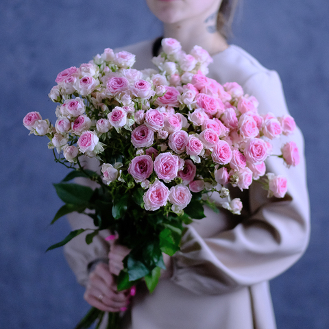 Розы кустовые пионовидные Kate Lynn