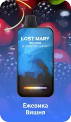 Одноразовая электронная сигарета Lost Mary BM - Ежевика Вишня (16000 затяжек)