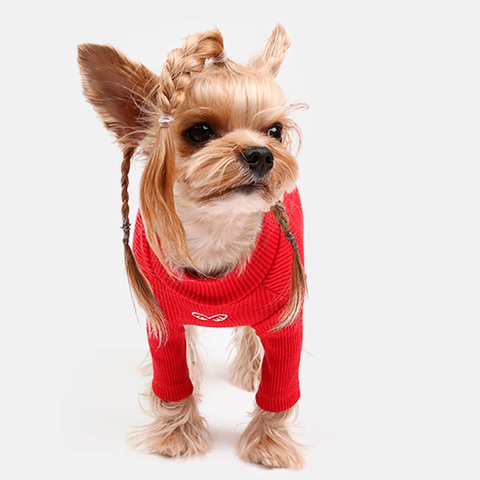 501 Водолазка "Лапша" / "Knitting Noodles Puppy Angel"