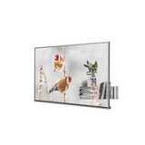 Прозрачный OLED-дисплей LG 55EW5P-M