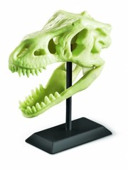 Набор 4M Палеонтологический музей 00-03356