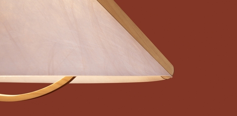 Потолочный светильник Freya Umbra FR5554CL-01T