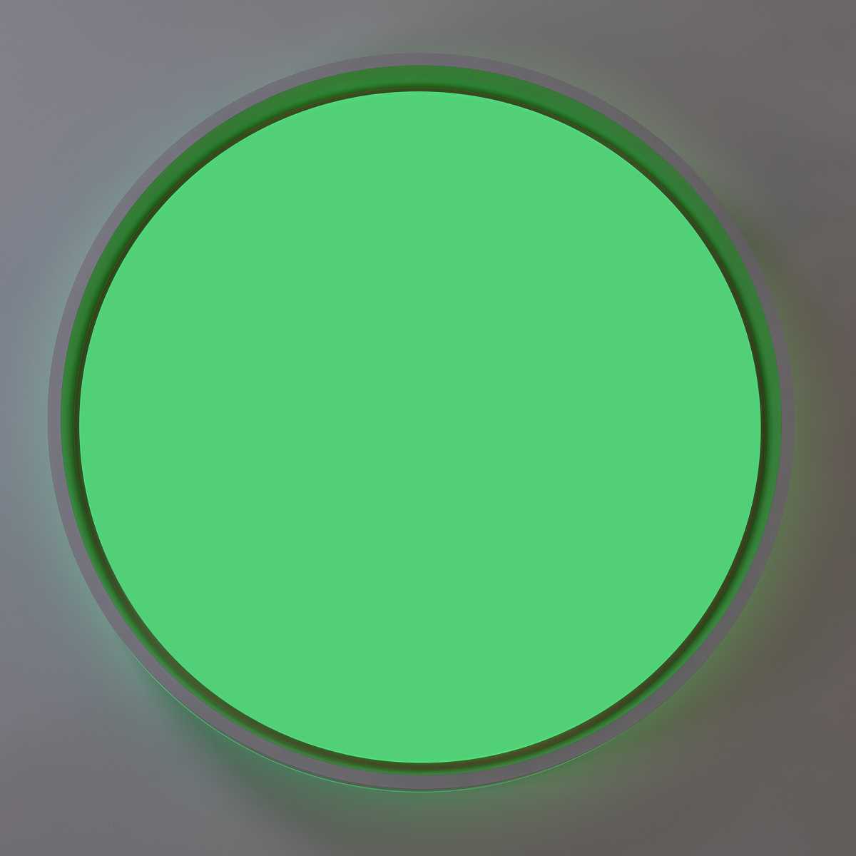 Светильник потолочный Citilux ENZO CL753510G