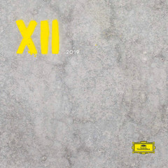 Сборник / XII (LP)