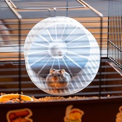 Ferplast клетка CRICETI 9 PIRATES для хомяков