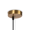 Подвесной светильник Freya Blossom FR5259PL-04BS