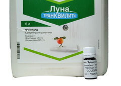 Луна Транквилити 10