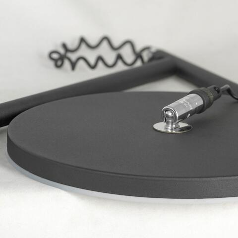 Торшер светодиодный Lussole LSP-0901