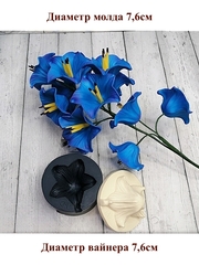 Молд пластиковый+вайнер силиконовый 