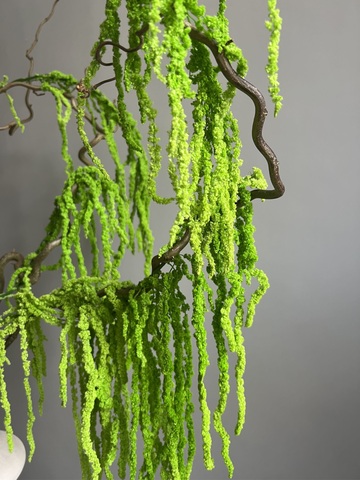 Амарант стабилизированный зеленый