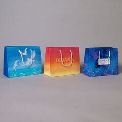 Пакет подарочный S горизонтальный, МИКС, 23*18*10 см (Д*В*Ш)