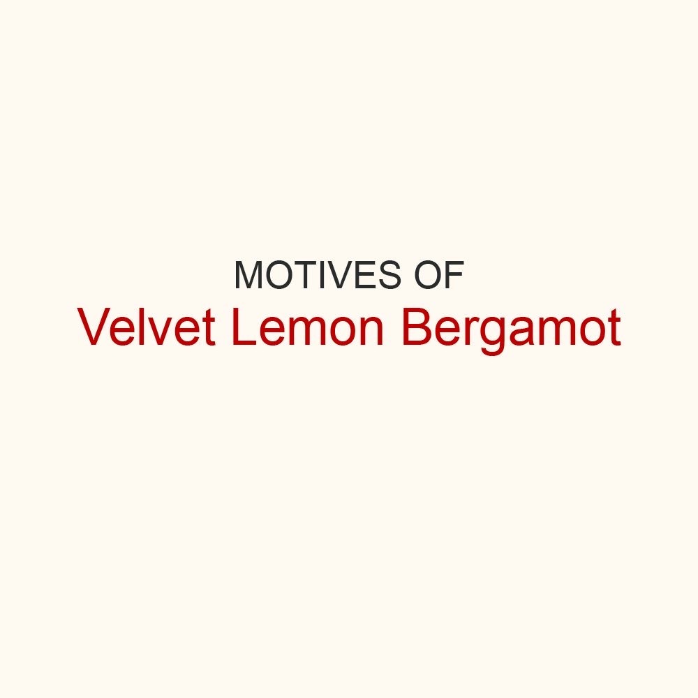 Мотивы Vetiver & Lemon, Bergamot