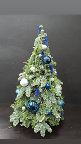 Ёлочка из нобилиса NWY003