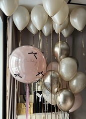 Воздушные шары №8262