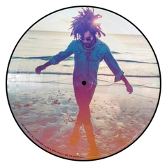 Lenny Kravitz / Raise Vibration (Picture Disc)(2LP)