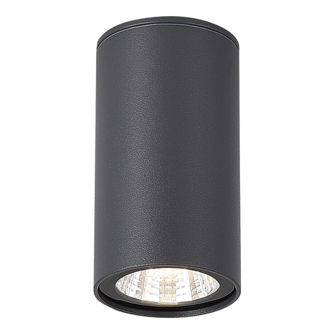 Светильник уличный потолочный ST Luce Tubo SL9514.702.01