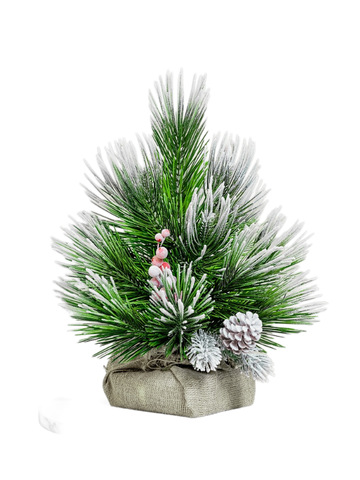 Сосна настольная (иней-кончики) 65 см - купить