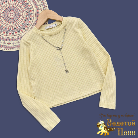 Джемпер трикотаж д (7-11) 251030-F1100