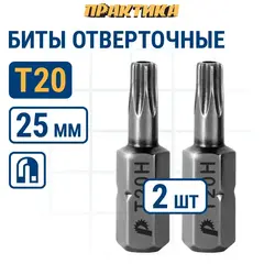 Бита отверточная ПРАКТИКА Профи Torx Tamper-20 х 25мм (2шт) (035-653)