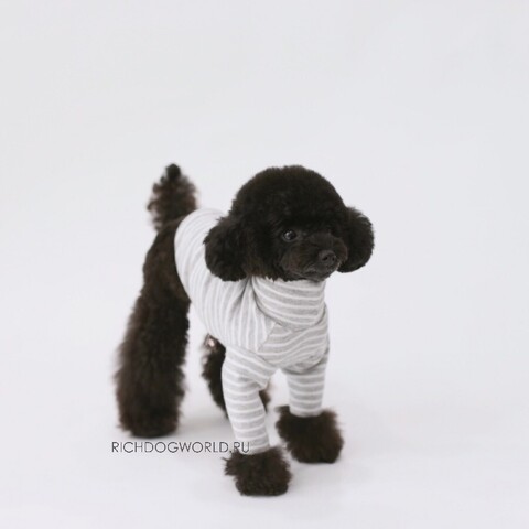 5830 BH Супермягкая водолазка для собак "Stripe Pola Tee"