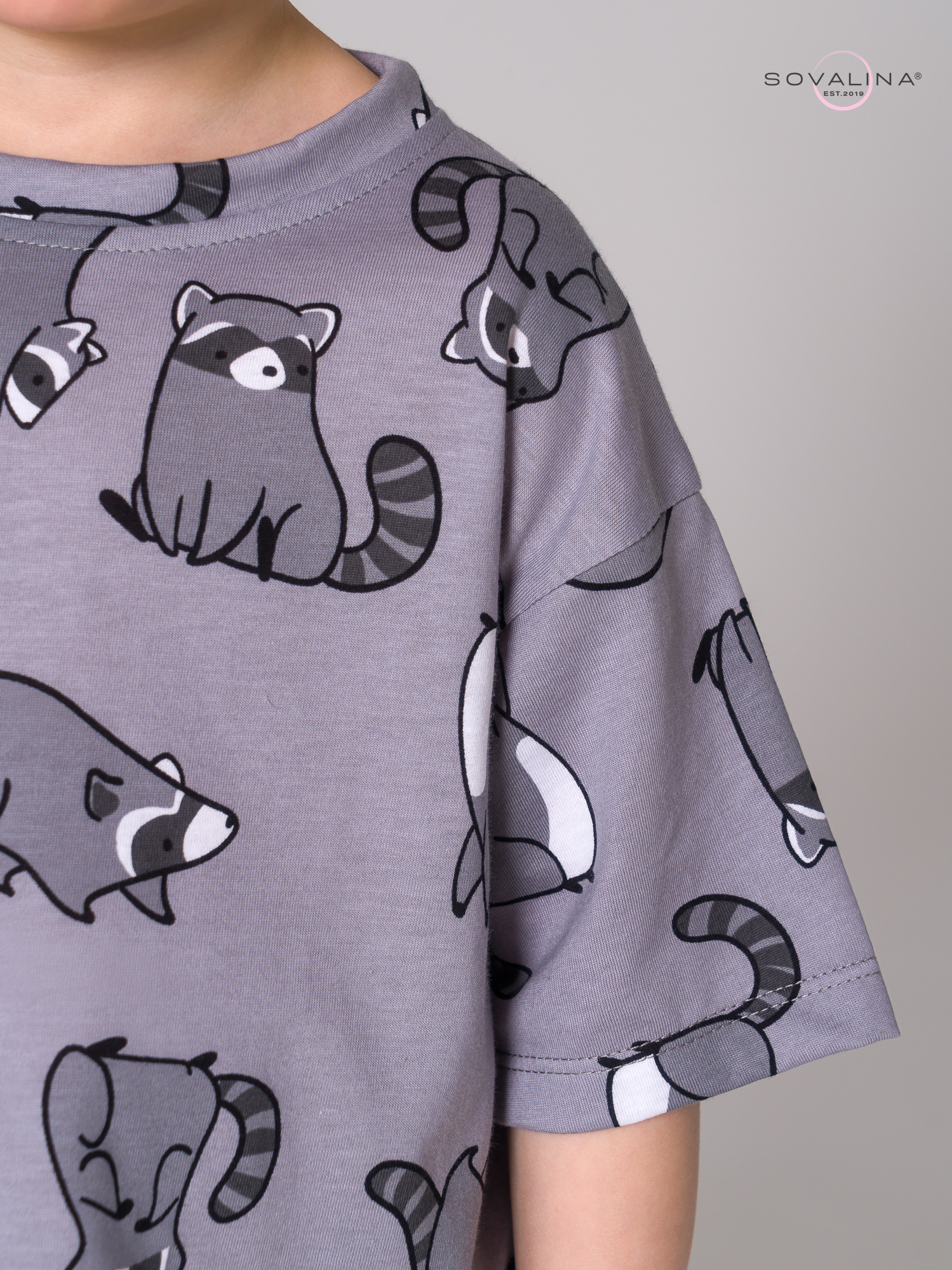 Костюм Daily men енотики серые-антрацит