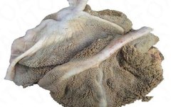 Рубец говяжий неочищенный