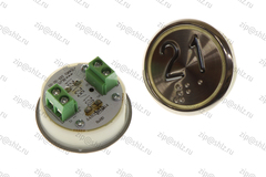 Кнопка (кнопочный модуль) EA2406S-S-R "21 этаж", круглая, красная статическая подсветка, Брайль