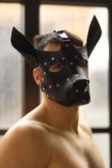Эффектная маска собаки с металлическими заклепками - 